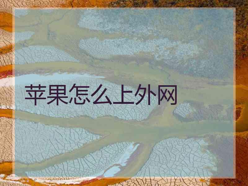 苹果怎么上外网