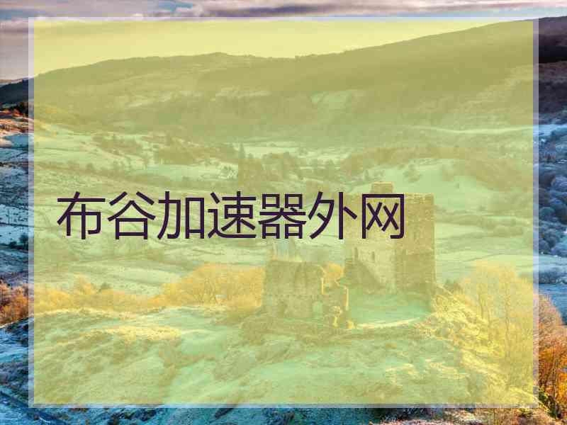 布谷加速器外网