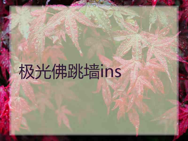 极光佛跳墙ins