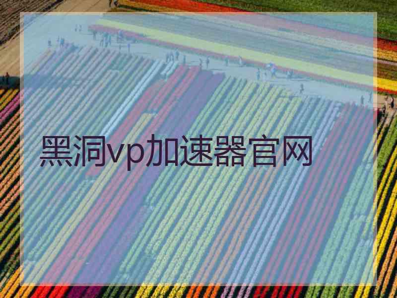 黑洞vp加速器官网