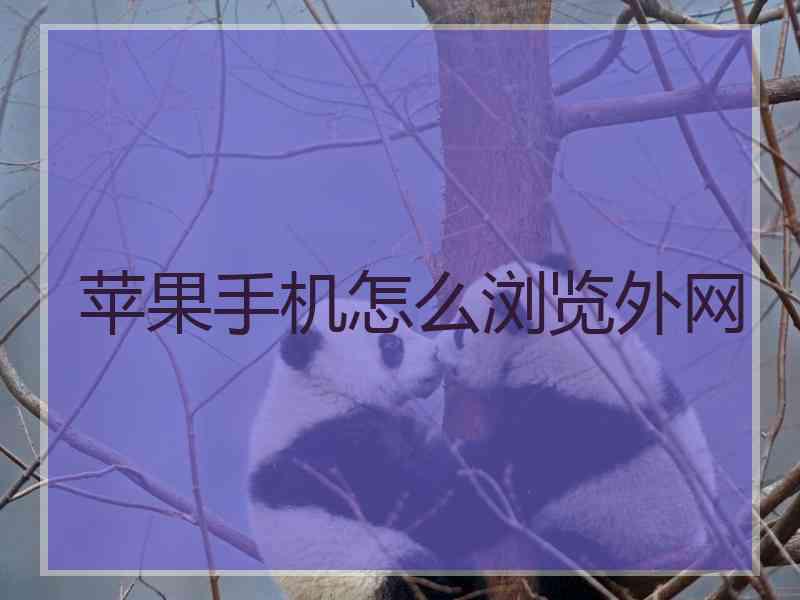 苹果手机怎么浏览外网