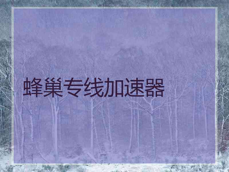 蜂巢专线加速器