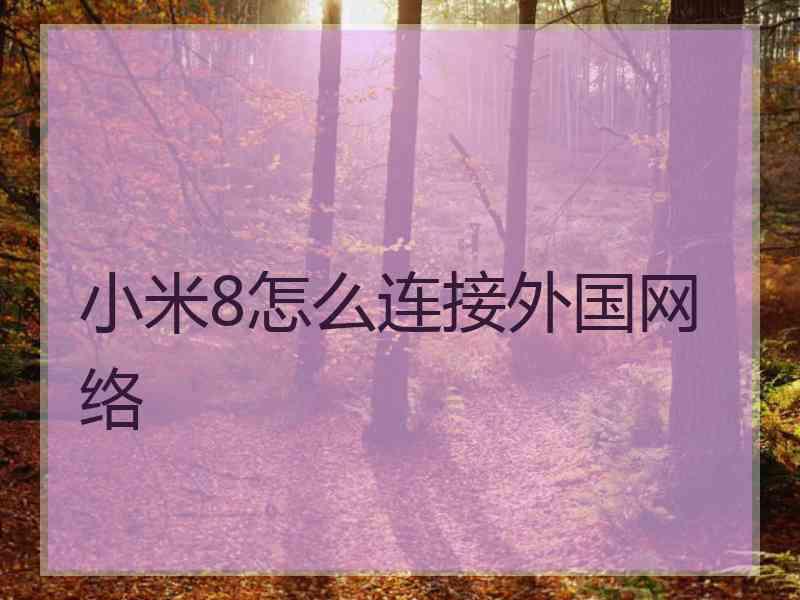 小米8怎么连接外国网络