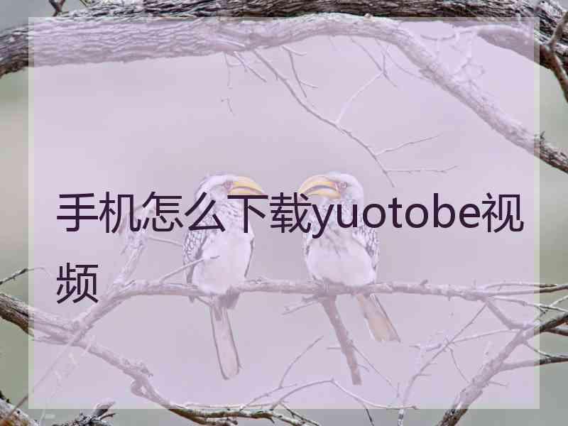手机怎么下载yuotobe视频