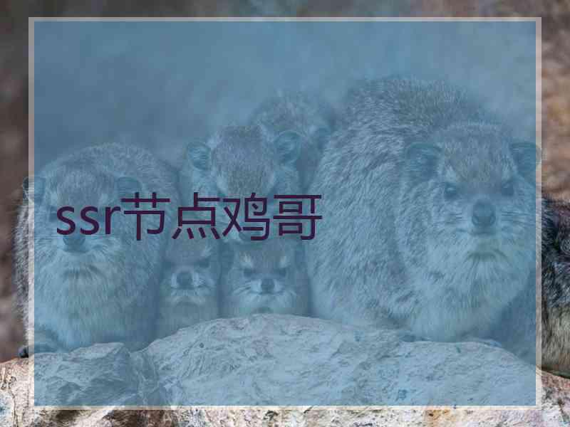 ssr节点鸡哥