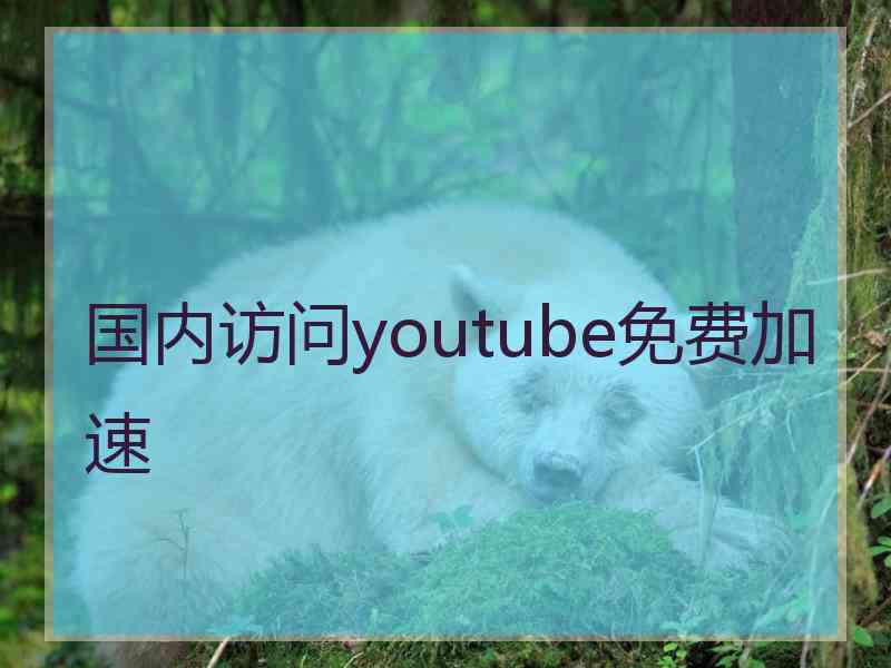 国内访问youtube免费加速