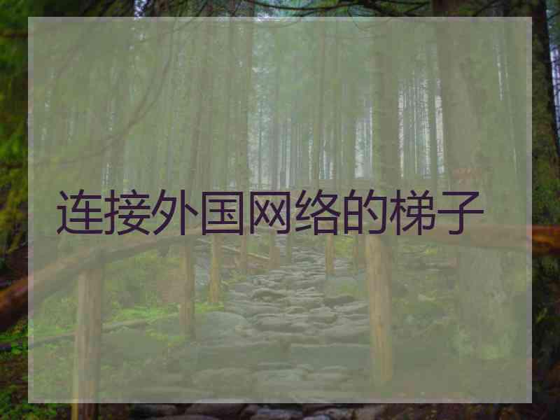 连接外国网络的梯子
