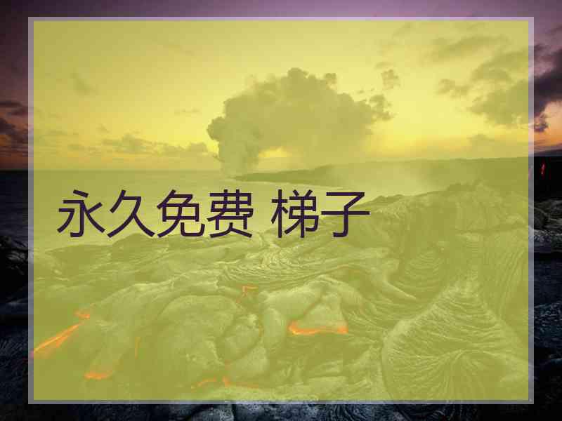 永久免费 梯子