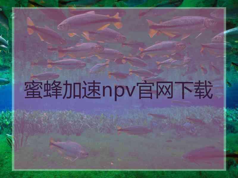 蜜蜂加速npv官网下载