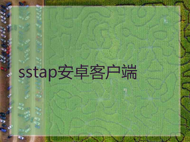 sstap安卓客户端