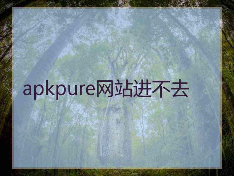 apkpure网站进不去