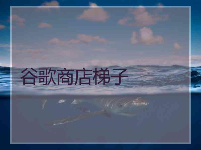 谷歌商店梯子