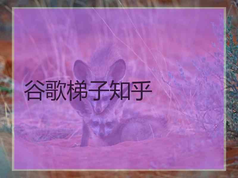 谷歌梯子知乎