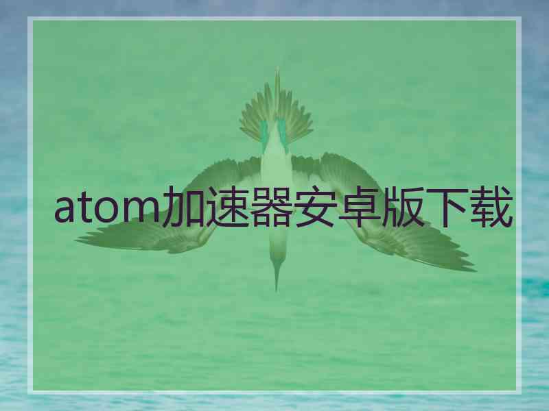 atom加速器安卓版下载