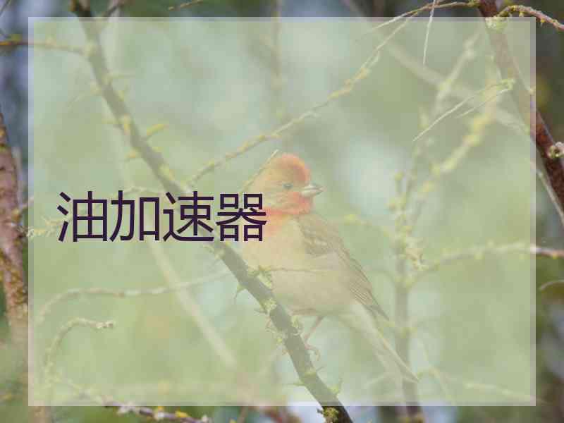 油加速器