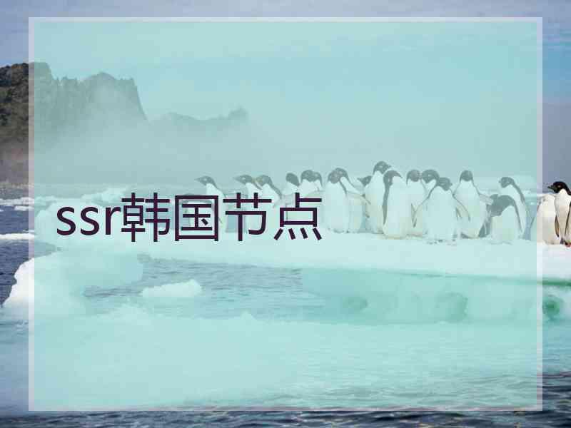 ssr韩国节点