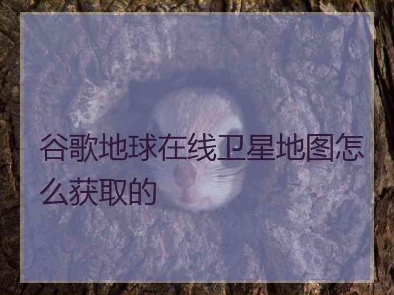 谷歌地球在线卫星地图怎么获取的