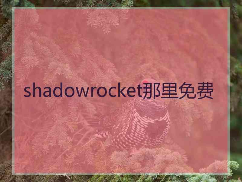 shadowrocket那里免费