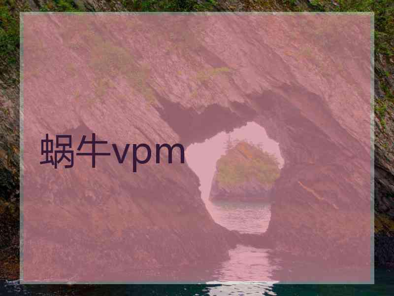 蜗牛vpm