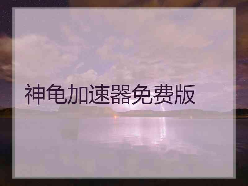 神龟加速器免费版