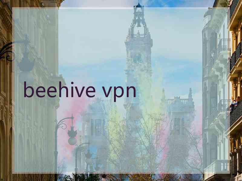 beehive vpn