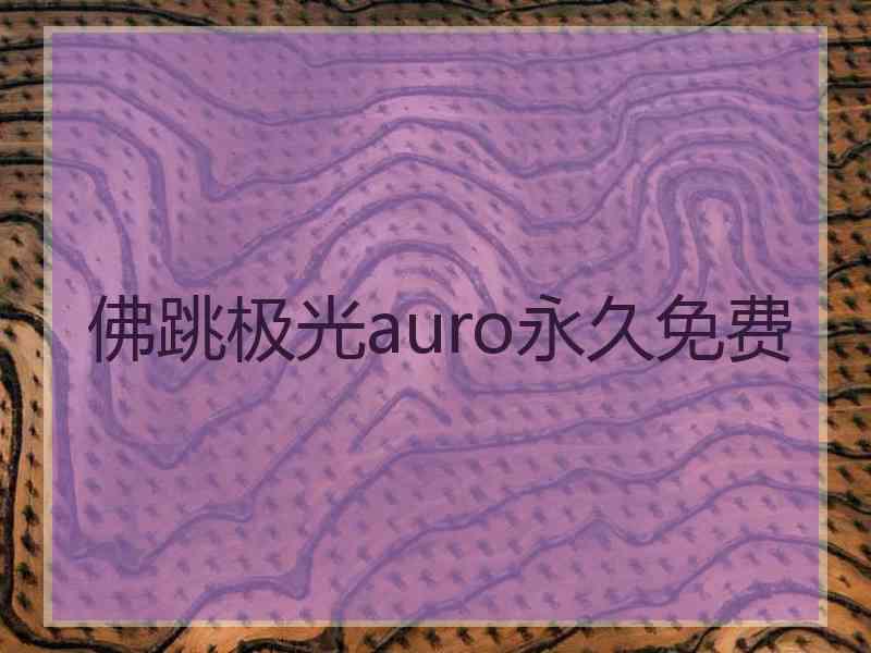 佛跳极光auro永久免费