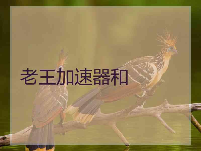 老王加速器和