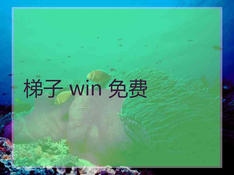梯子 win 免费