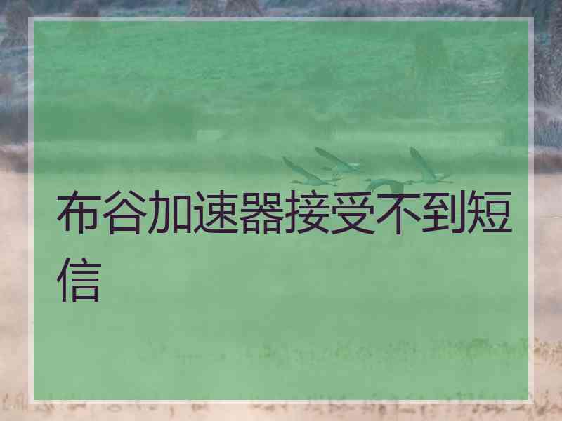 布谷加速器接受不到短信