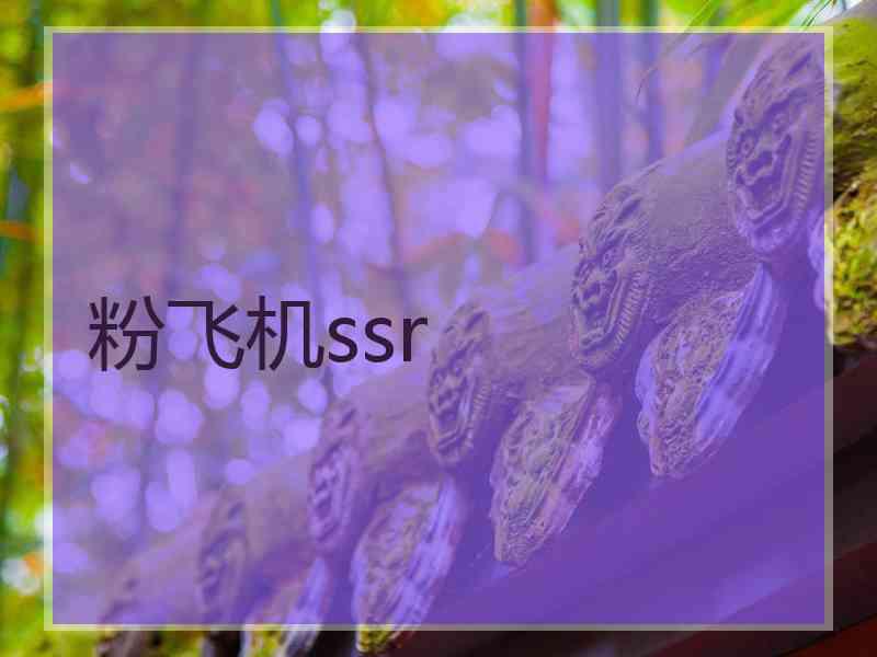粉飞机ssr