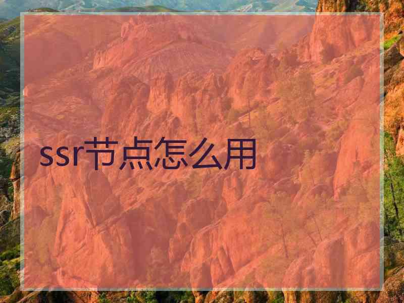 ssr节点怎么用