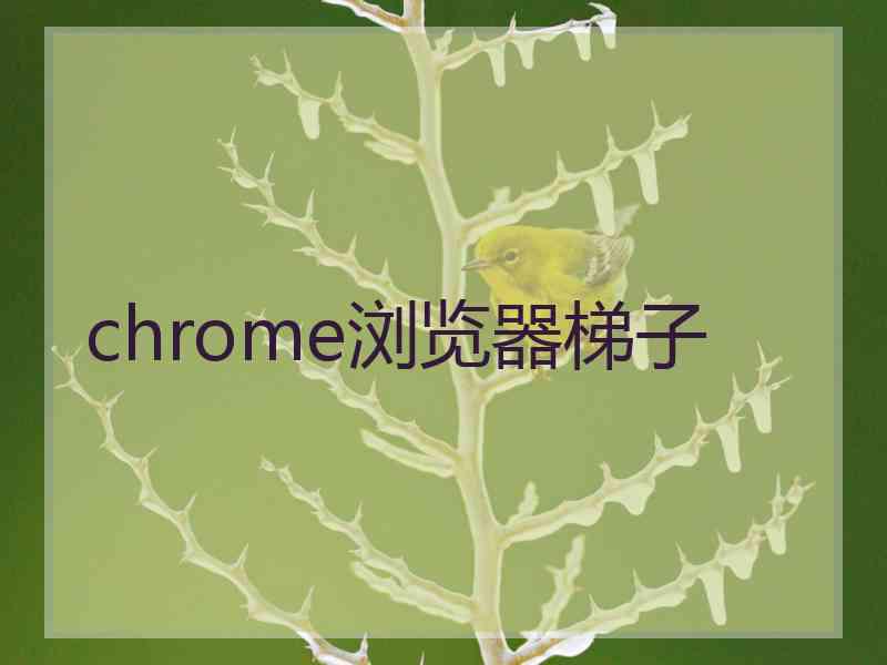 chrome浏览器梯子