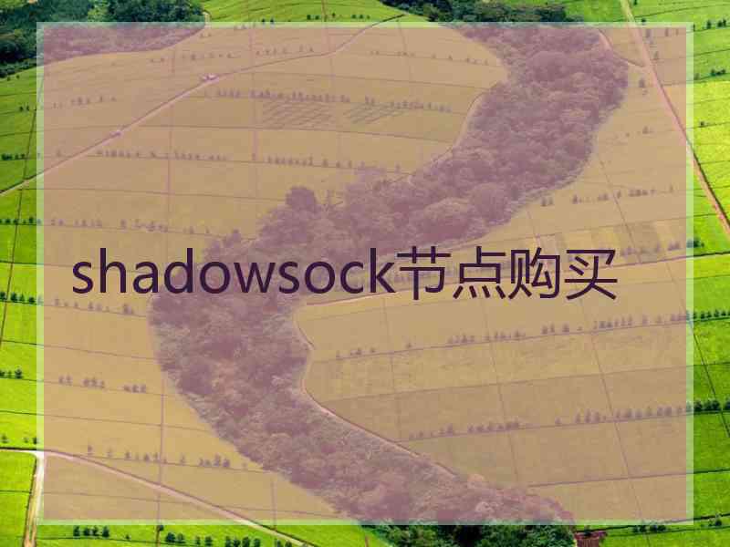 shadowsock节点购买