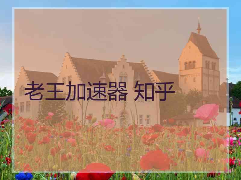老王加速器 知乎