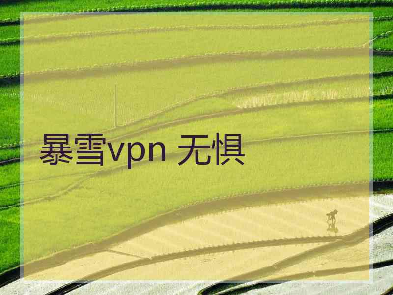 暴雪vpn 无惧