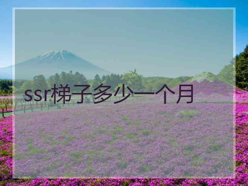 ssr梯子多少一个月