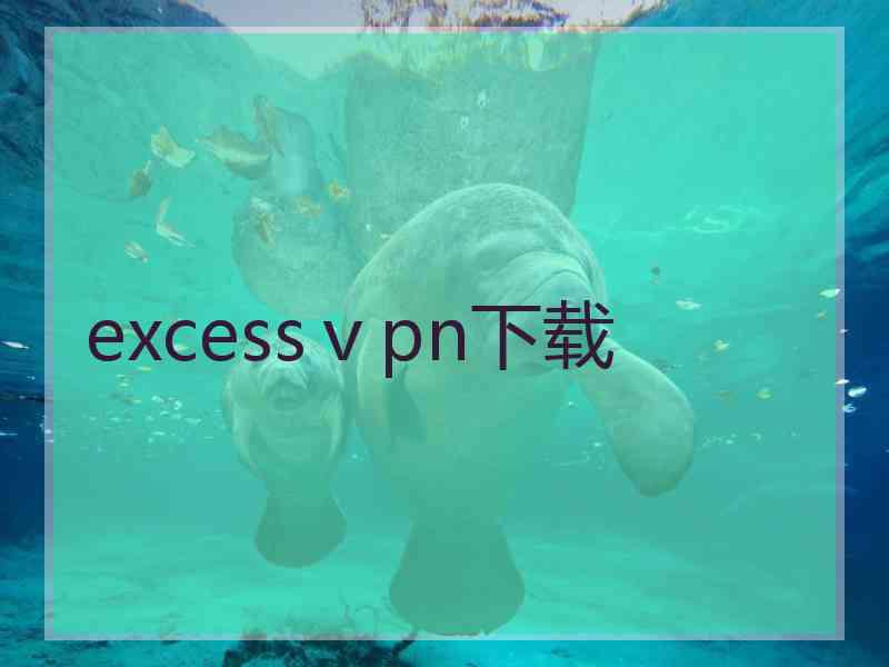 excessⅴpn下载