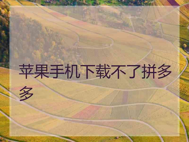 苹果手机下载不了拼多多