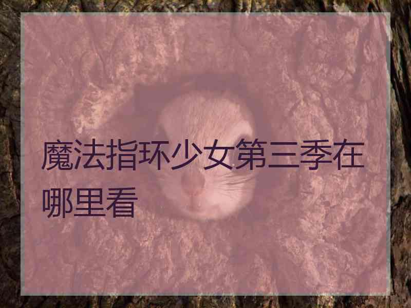 魔法指环少女第三季在哪里看
