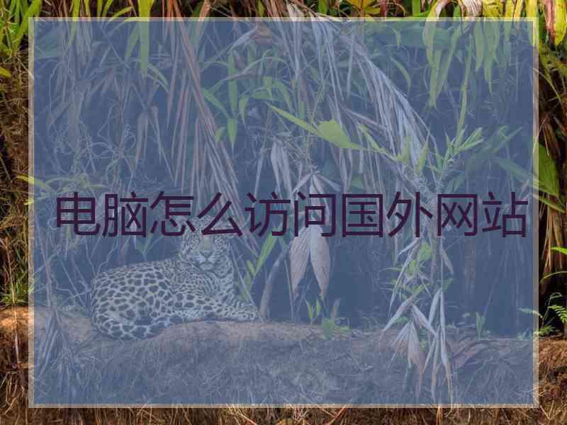 电脑怎么访问国外网站
