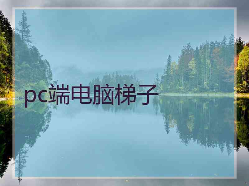 pc端电脑梯子