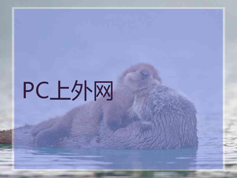 PC上外网