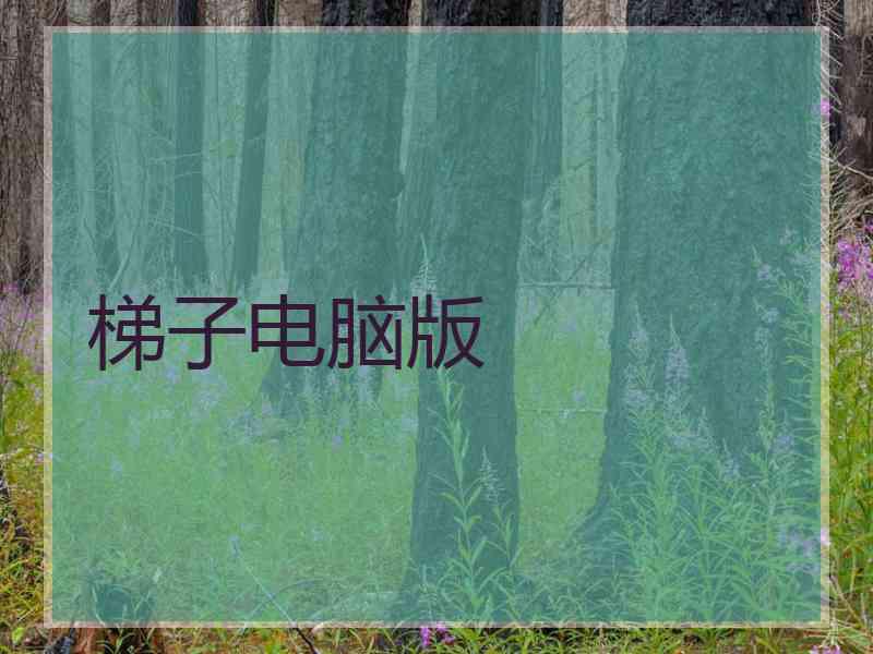 梯子电脑版