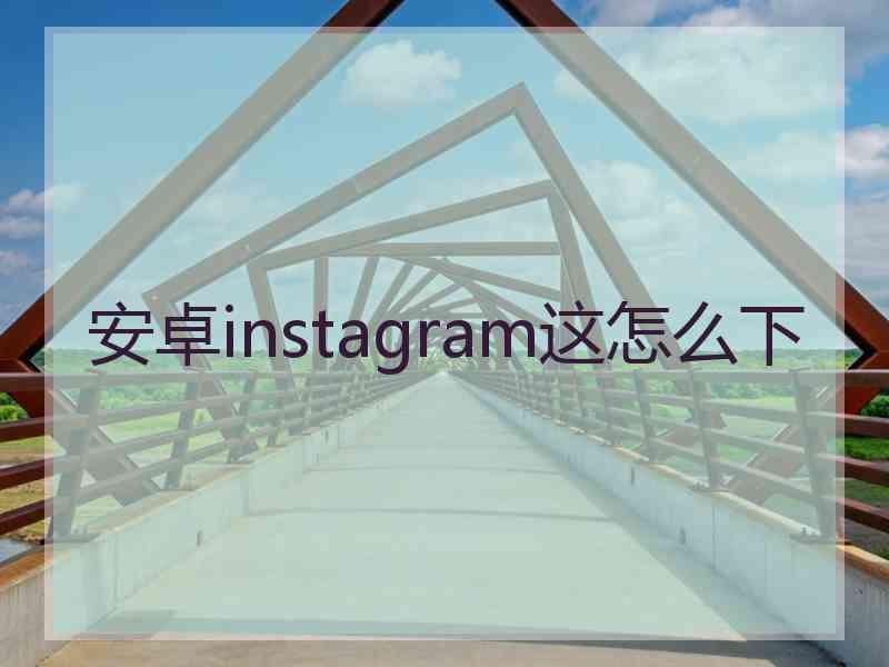 安卓instagram这怎么下