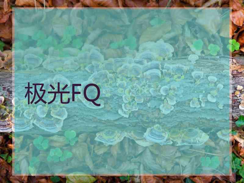 极光FQ