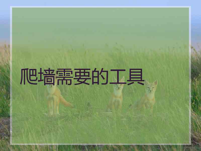 爬墙需要的工具