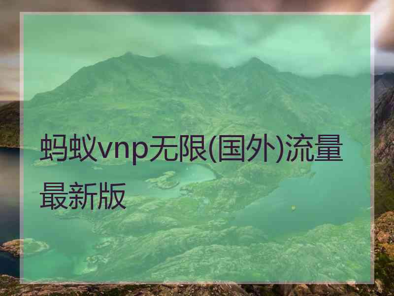蚂蚁vnp无限(国外)流量最新版