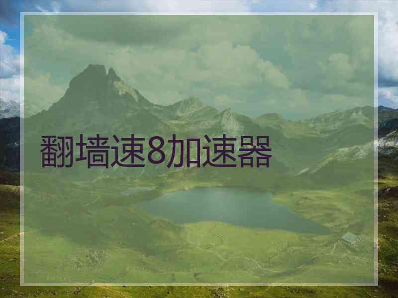 翻墙速8加速器
