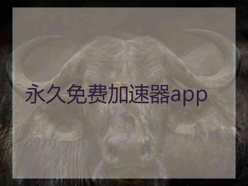 永久免费加速器app