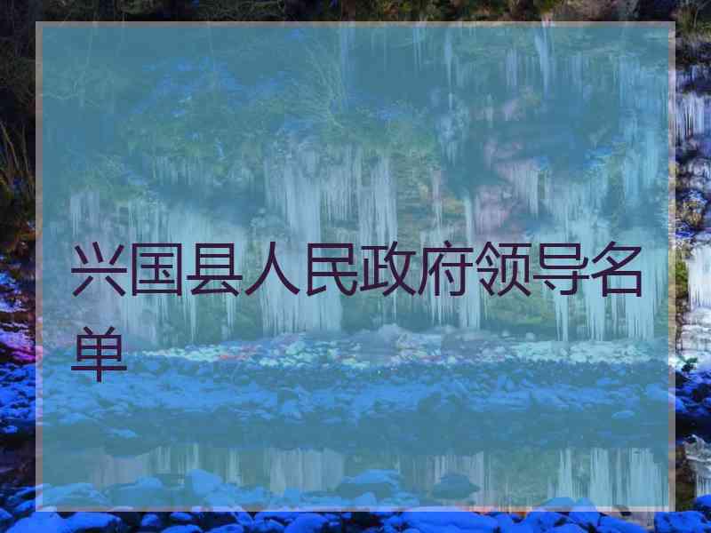 兴国县人民政府领导名单